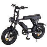 Fatbike C80, Mini