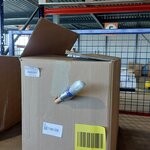 Partij ANZA Platinum kwast maat 16 216 stuks, Wit