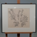 Tekening, E. Brusse, Uitbotten kastanje takken 1, 1983