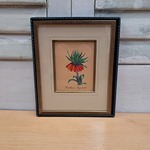 Partij Afbeeldingen bloemen