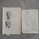 Proportion de l’Homme