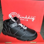 ca.309x Kindersportschoenen  Kinddog en happy pee, 2024