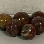 6x Versteend hout bollen