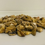 2 Kg Jaspis kalahari trommelstenen