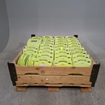 Ca. 35x Oefen AED, Zoll, AED Plus