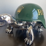Schildpad Beeld