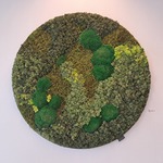 Mos decoratie