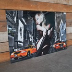 Plexiglas schilderij, Cobra Art Company , GN4073