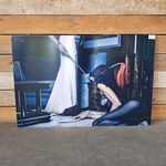 Plexiglas schilderij, Cobra Art Company, GN7162
