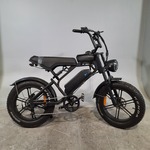 Elektrische fatbike