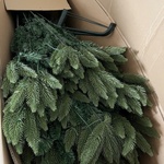 Kerstboom 240 cm hoog, Groen
