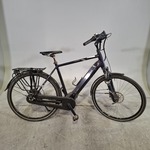 Elektrische herenfiets, Pegasus