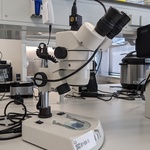 Microscoop Motic, SMZ-143 series