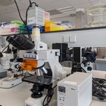 Microscoop met toebehoren Nikon, Eclipse E400