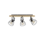 Fischer&Honsel De Plafondlamp Metaal 40 W Zwart