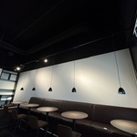 Ca.16 meter Lichtrail met LED verlichting, zwart