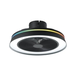 Eglo Vallonia Plafondventilator met Lamp 48 cm 3 snelheden Instelbaar