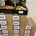 Ca. 18x Dozen wespenvallen a 36×3 per doos inhoud