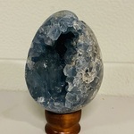 Celestien eivorm, blauw
