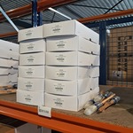 150x Platinum kwast maat 16 ANZA, Wit