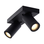 Lucide Plafondspot Taylor 2x5W Zwart