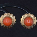 Gouden oorbellen met bloedkoraal