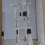 Krabpaal kitten kat poes, 2025