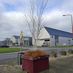 3x Plantenbak met berkenboom