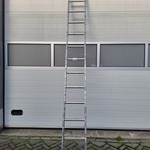 Ladder, 12 treeds