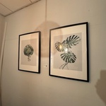 2x Wanddecoratie, ingelijst