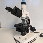 Optische microscoop, Novex Holland, B-type, wit, 2018