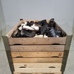 Partij diverse schoenen