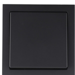 BuschJaeger Future Linear Wisselwisselschakelaar Mat Zwart