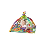Playgro Woodlands Music and Light Projector Gym Baby speelgoed