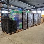 Partij kratten, Diverse Soorten En Maten