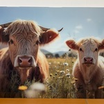 Schilderij, 110×70 cm