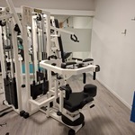 Rotary Torso Technogym