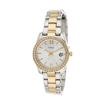 Fossil Dames Horloge ES4319 Scarlette Meerkleurig
