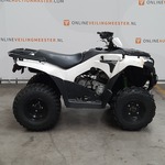 Quad, Kawasaki, KVF 300C