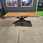 Boomstamtafel | Suar