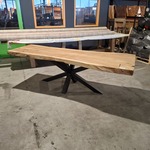 Boomstamtafel | Suar