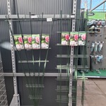 Ca. 14x Wandspalier, Trellis