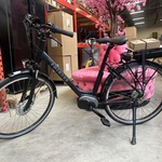 Elektrische fiets hoogte 50 Pointer, Ducora, mat zwart