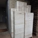 Assortiment Tempex kweekbakken