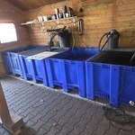 6x Quarantainebak met toebehoren