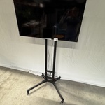 Televisie Philips, 48PFK5509/121, op verrijdbare tv-standaard