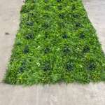 Ca. 10m2 Kunsthaag, groen