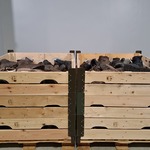 Partij diverse schoenen