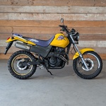 Motor, Honda, All-Road FX 650 Vigor, 2001