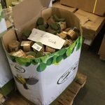 Ca. 200x Potten pindakaas voor vogels, ED